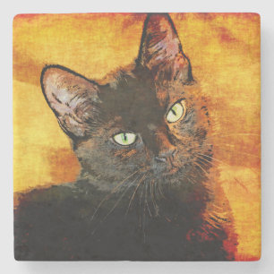 BLACK CAT OLIVE STONE COASTER