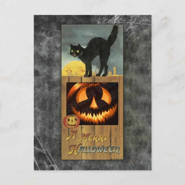 Black cat on a wooden fence with pumpkin postcard (Front)