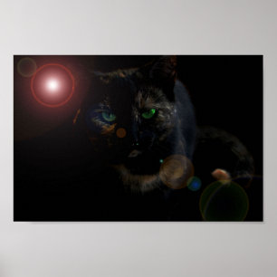 Black Cat On Black Poster