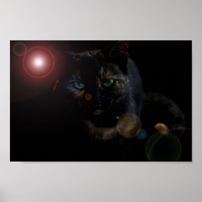 Black Cat On Black Poster (Front)