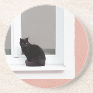 Black Cat on Coral Coaster