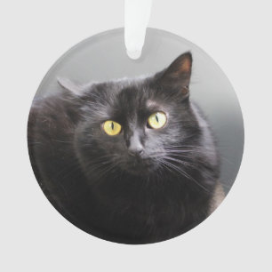 Black cat ornament