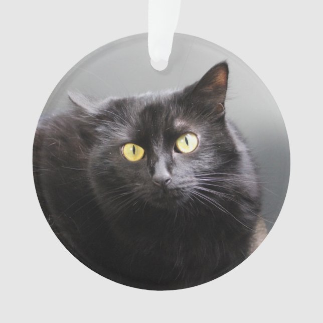 Black cat ornament (Front)