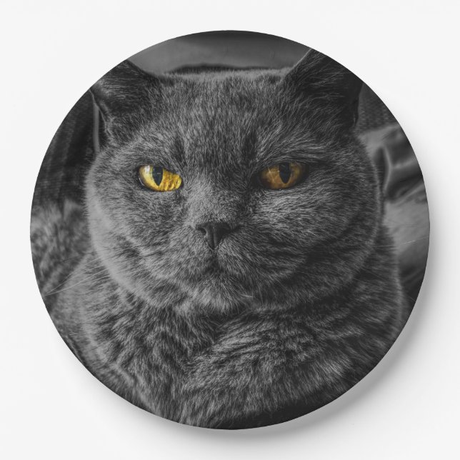 Black Cat Paper Plate (Front)
