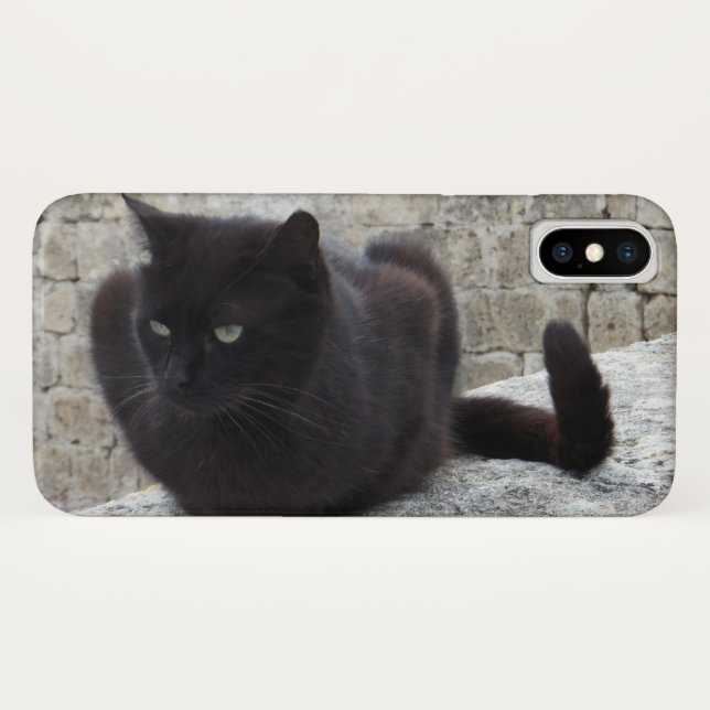 Black Cat phone cases (Back (Horizontal))