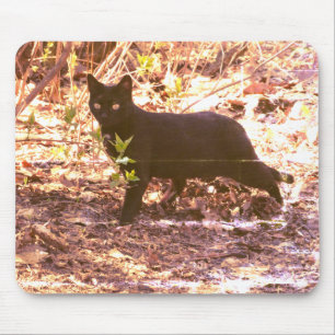 Black Cat Photo Mouse Pad