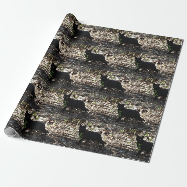 Black Cat Photo Wrapping Paper (Unrolled)