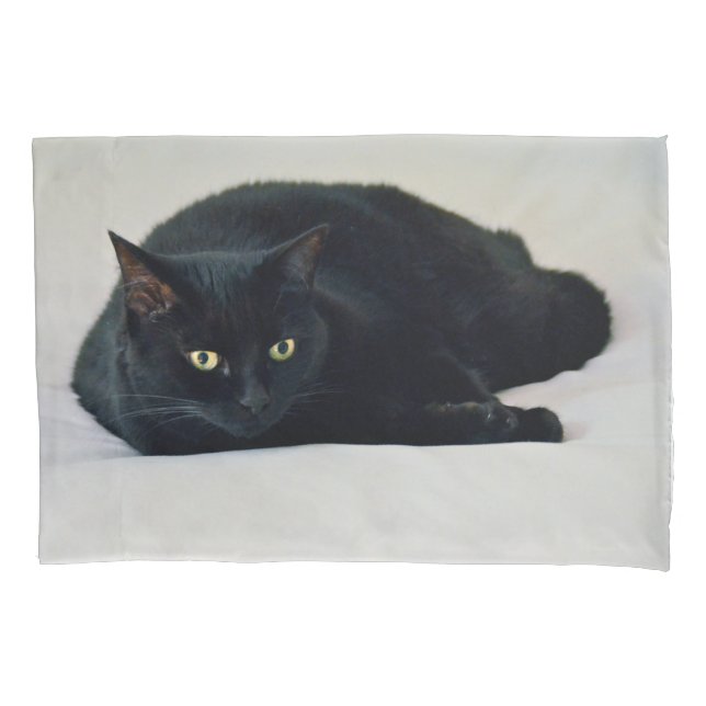 Black Cat Pillowcase (Front)