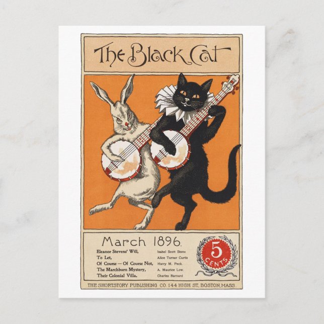 Black cat playing Banjo, Unknown artist Postcard (Front)