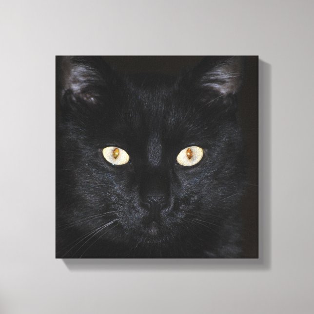 Black Cat Portrait Canvas Print (Front)