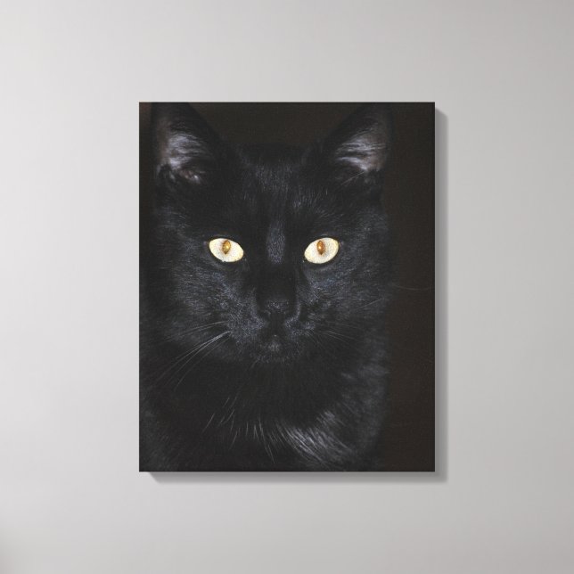 Black Cat Portrait Canvas Print (Front)