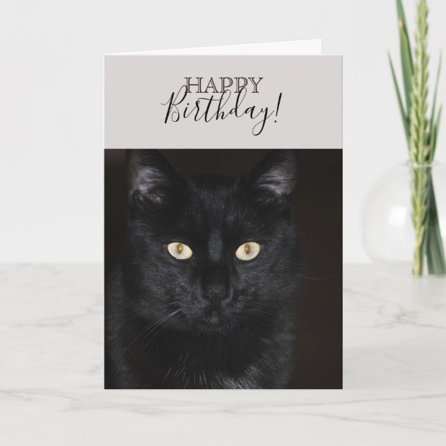 Black Cat Portrait Card (Front)
