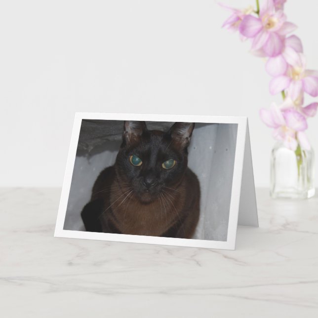 Black Cat Portrait Card (Orchid)