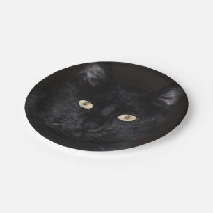 Black Cat Portrait Paper Plate