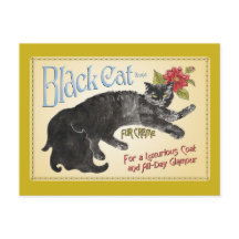 Black Cat