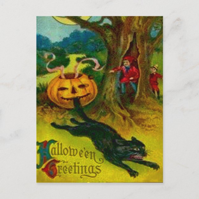 Black Cat Postcard (Front)