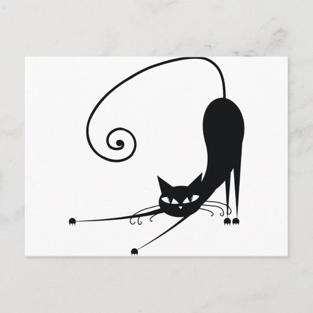 Black Cat Postcard (Front)