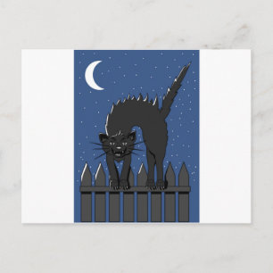 Black Cat Postcard