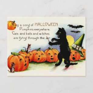 Black Cat postcard, Singing Pumpkins, Halloween Postcard