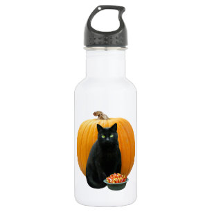 Black Cat Pumpkin 532 Ml Water Bottle
