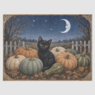 Black Cat Pumpkin Patch Vintage Tissue Paper