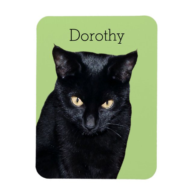 Black Cat Real Photo Kitchen Fridge Magnet (Vertical)