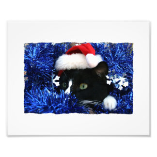 Black Cat, Santa hat, blue tinsel, ready to pounce Photo Print