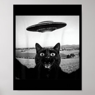 Black Cat Selfie Ufo Alien Funny Gifts For Men Poster