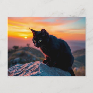 Black Cat Silhouette at Sunset Postcard