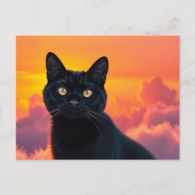 Black Cat Silhouette at Sunset Postcard (Front)