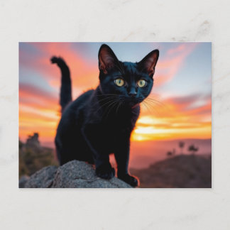 Black Cat Silhouette at Sunset Postcard