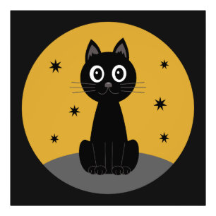 Black cat sitting watching the stars photo print