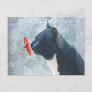 Black Cat Sniffing Flower Postcard