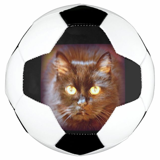 black cat soccer ball (Front)