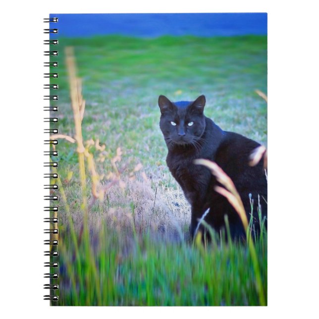 Black Cat Spiral Notebook (Front)
