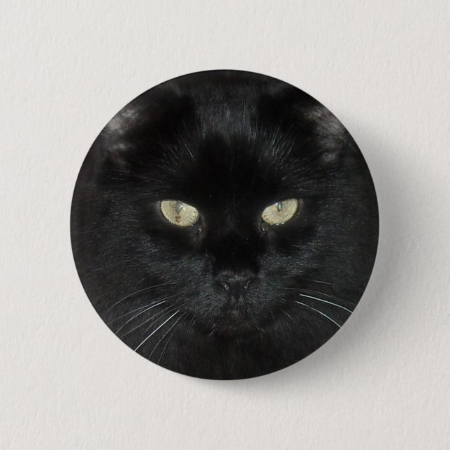 Black Cat Stare 6 Cm Round Badge (Front)