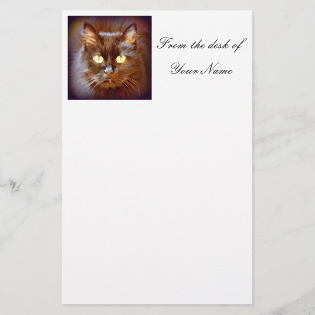 black cat stationery (Front)
