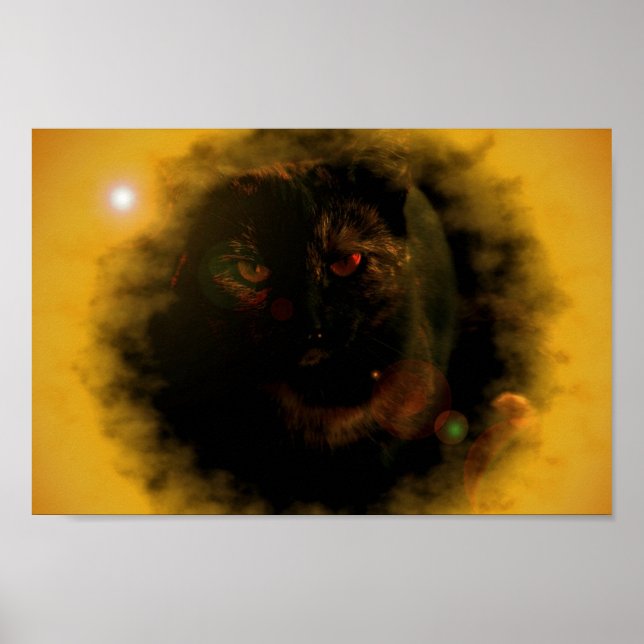 Black Cat Sunburst Poster (Front)