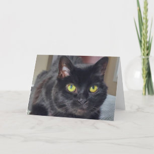 Black cat thank you card