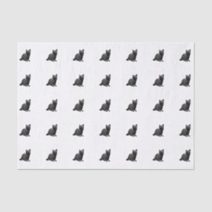 Black Cat Tissue Paper