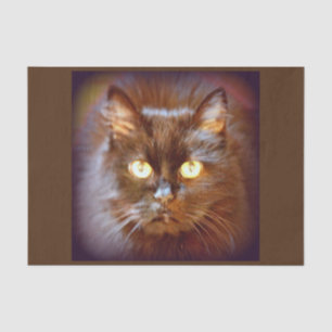 black cat tissue paper