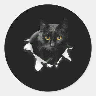 Black Cat Torn Cloth Gifts For Cat Lover, Cat Dad, Classic Round Sticker