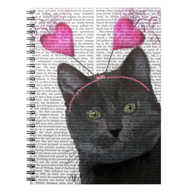 Black Cat Valentines Spiral Notebook (Front)