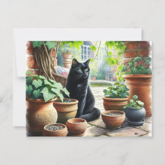 Black Cat Watching Catnip Grow Cute  Postcard