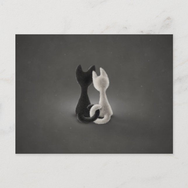 Black Cat White Cat (Colour 2) Postcard (Front)