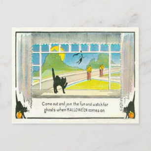 Black Cat Witch Window Jack O Lantern Pumpkin Moon Postcard