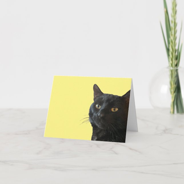 Black Cat With A Funny Quirky Expression Cut Out Card (Front)