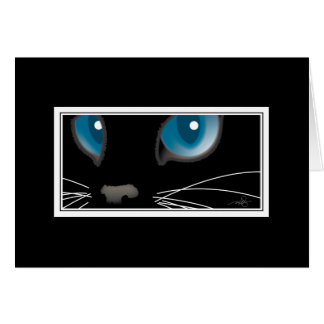 Black Cat with Blue Eyes