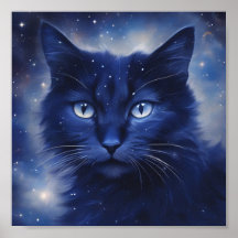Black cat with blue eyes on a starry background