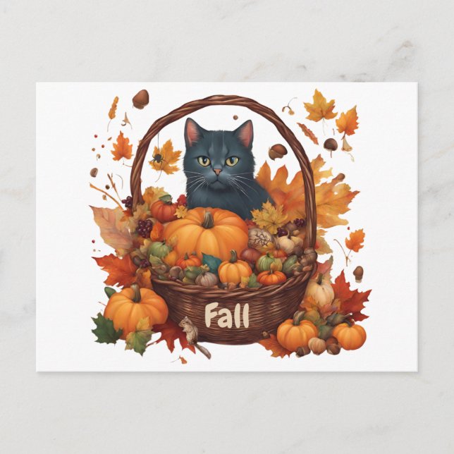 Black Cat with Fall Harvest Basket  Postcard (Front)